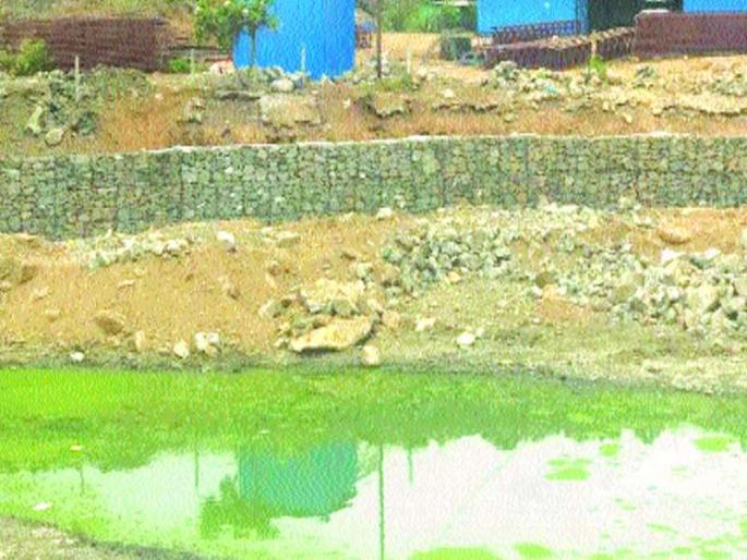 Navjadwani will get Turfepada lake of thane | तुर्फेपाडा तलावाला मिळणार नवसंजीवनी Navjadwani will get Turfepada lake of thane | तुर्फेपाडा तलावाला मिळणार नवसंजीवनी