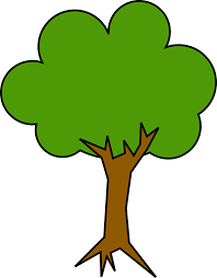 thousands of trees on the road stolen | शेलोडी-तित्रंव रस्त्यावरील हजारो झाडं चोरीला thousands of trees on the road stolen | शेलोडी-तित्रंव रस्त्यावरील हजारो झाडं चोरीला