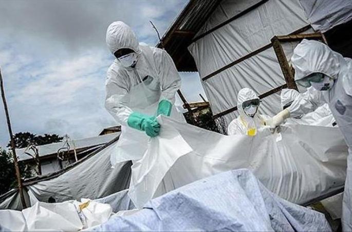 Three more corona victims in Buldana district, 732 positive | बुलडाणा जिल्ह्यात शुक्रवारी कोरोनाचे तीन बळी, ७३२ जण पॉझिटिव्ह Three more corona victims in Buldana district, 732 positive | बुलडाणा जिल्ह्यात शुक्रवारी कोरोनाचे तीन बळी, ७३२ जण पॉझिटिव्ह