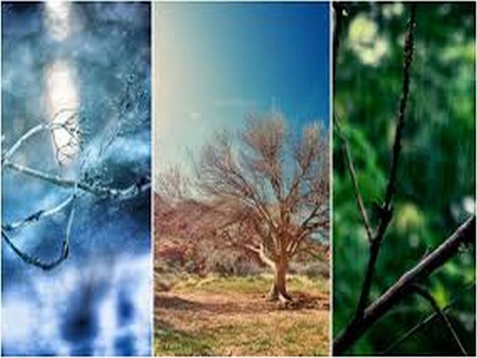 Dramatic weather in the maharashtra Summer rain and winter at the same time | हवामानात नाट्यमय घडामोडी; उन्हाळा, हिवाळ्यासह पावसाळाही एकाच वेळी Dramatic weather in the maharashtra Summer rain and winter at the same time | हवामानात नाट्यमय घडामोडी; उन्हाळा, हिवाळ्यासह पावसाळाही एकाच वेळी