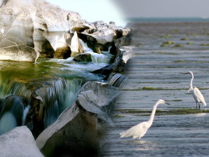 Must visit this beautiful places in India | भारतातील 'ही' 4 अद्भूत ठिकाणं तुम्ही पाहिली का?