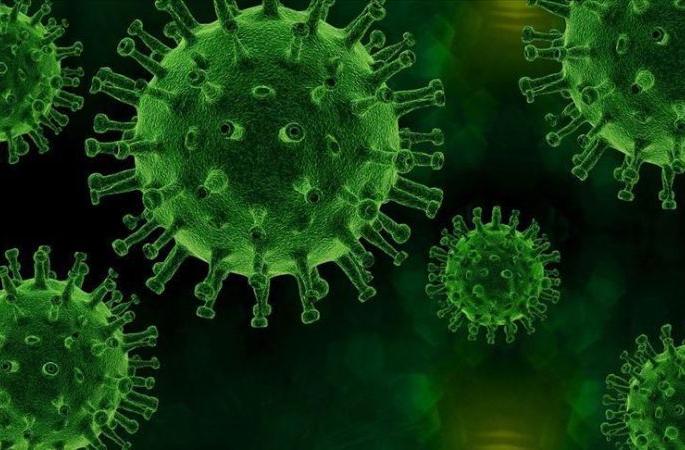 In Wardha, the cure rate of corona patients is 85% | coronavirus; वर्ध्यात कोरोना रुग्ण बरे होण्याचे प्रमाण ८५ टक्के