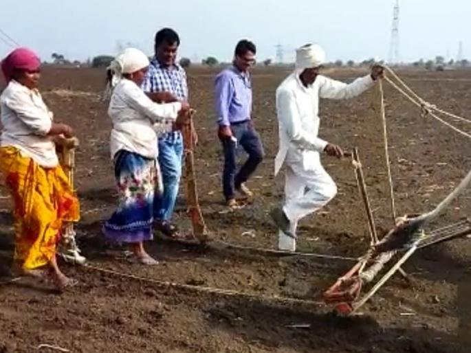 District Agriculture Superintendent started sowing | जिल्हा कृषी अधीक्षकांनी तिफण चालवून केला पेरणीचा श्रीगणेशा!