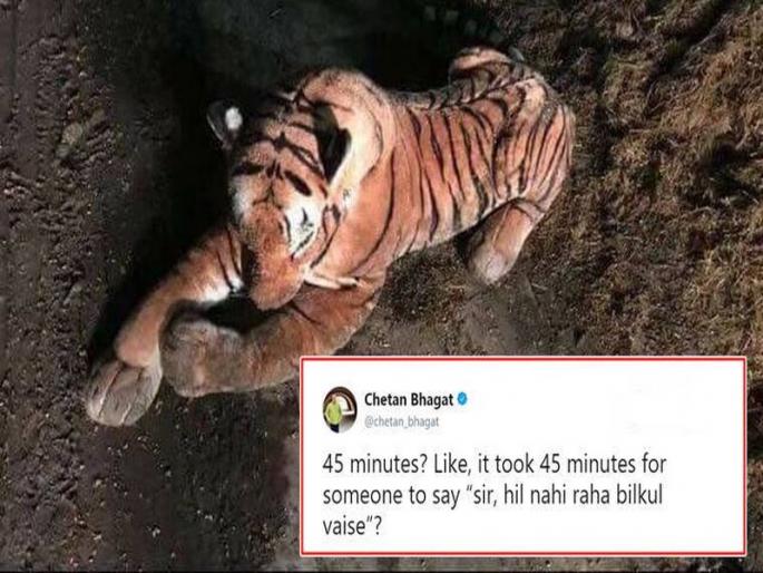 'Tiger is alive' ?; Scottish police laughs at the toy tigers | 'टायगर जिंदा है'?; खेळण्यातील वाघामुळे स्कॉटलंड पोलिसांचे झाले हसे 'Tiger is alive' ?; Scottish police laughs at the toy tigers | 'टायगर जिंदा है'?; खेळण्यातील वाघामुळे स्कॉटलंड पोलिसांचे झाले हसे