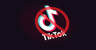 tiktok ban - Who exactly are the tiktokers? | टिकटॉकर्स नक्की कोण असतात ?  tiktok ban - Who exactly are the tiktokers? | टिकटॉकर्स नक्की कोण असतात ?