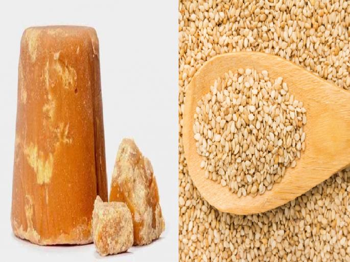 Prices of Gujarat Sesame and Organic Jaggery are currently stable, Sankrant will be sweet | गुजरातचा तीळ अन् सेंद्रिय गूळ संक्रांत करणार ‘गोड’ Prices of Gujarat Sesame and Organic Jaggery are currently stable, Sankrant will be sweet | गुजरातचा तीळ अन् सेंद्रिय गूळ संक्रांत करणार ‘गोड’