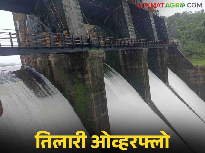 Tilari Dam : Tilari Dam crossed the top level; All four gates of the dam opened | Tilari Dam : तिलारी धरणाने माथा पातळी ओलांडली; धरणाचे चारही दरवाजे उघडले