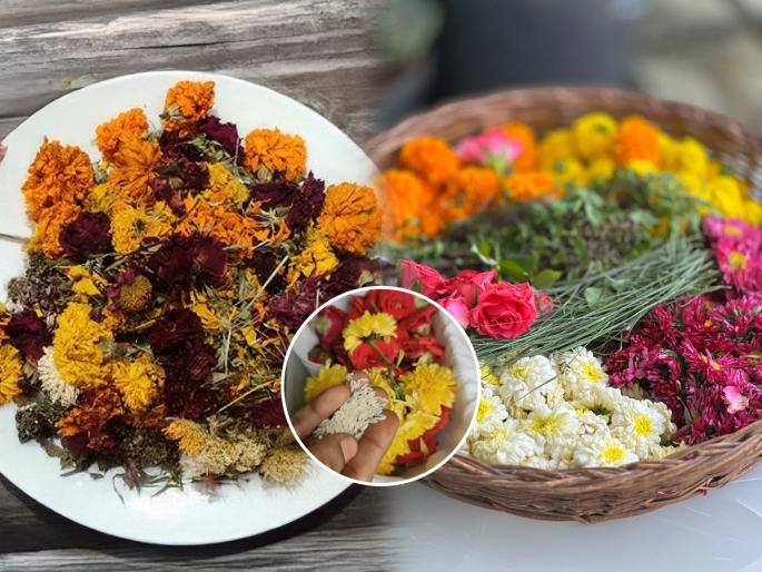 best way to store flowers for a month tricks to keep flowers fresh naturally how to keep flowers fresh for a month tips to make flowers last longer | हार- फुले फ्रिजशिवायही राहतील ताजी! ८ सोप्या ट्रिक्स - फुले न कोमेजता राहतील टवटवीत...