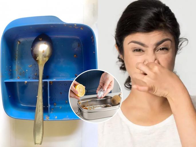 Tips & tricks to keep clean & odor free lunch box of kids tips to keep lunch box odor free prevent smell in kids tiffin box best way to remove lunch box smell home remedies for lunch box odor | मुलांच्या टिफीन बॉक्सला कुबट वास येतो? ३ ट्रिक्स, दुर्गंध जाईल काही मिनिटांत...