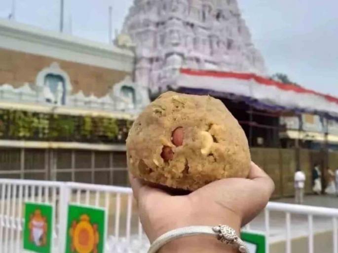 Supreme Court Hearing on Tirupati Ladoo Dispute Today petitioner demanded a CBI probe | तिरुपती लाडू वादावर आज सर्वोच्च न्यायालयात सुनावणी; याचिकाकर्त्यांने सीबीआय चौकशीची मागणी केली Supreme Court Hearing on Tirupati Ladoo Dispute Today petitioner demanded a CBI probe | तिरुपती लाडू वादावर आज सर्वोच्च न्यायालयात सुनावणी; याचिकाकर्त्यांने सीबीआय चौकशीची मागणी केली