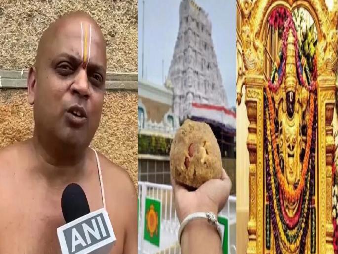 tirupati tirumala devasthanam laddu controversy head priest on temple purification | "आता सर्व काही शुद्ध झाले आहे…", तिरुपती मंदिरातील शुद्धीकरण विधींबाबत पुजाऱ्याचे भाष्य tirupati tirumala devasthanam laddu controversy head priest on temple purification | "आता सर्व काही शुद्ध झाले आहे…", तिरुपती मंदिरातील शुद्धीकरण विधींबाबत पुजाऱ्याचे भाष्य