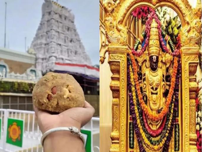 Tirupati Laddu Controversy: Purification of Tirupati Balaji Temple | तिरुपती बालाजी मंदिराचे शुद्धीकरण, भगवान व्यंकटेश्वर स्वामींची मागितली माफी