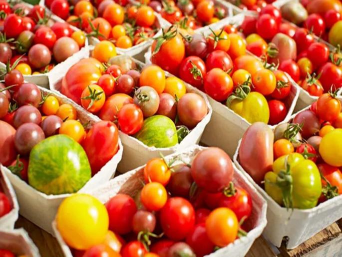 Prices have come down... Tomatoes will be available for 50 rupees in Uttar Pradesh; Imported from Nepal | भाव उतरले... उत्तर प्रदेशात ५० रुपयांत १ किलो मिळणार टोमॅटो; नेपाळमधून झाली आयात Prices have come down... Tomatoes will be available for 50 rupees in Uttar Pradesh; Imported from Nepal | भाव उतरले... उत्तर प्रदेशात ५० रुपयांत १ किलो मिळणार टोमॅटो; नेपाळमधून झाली आयात
