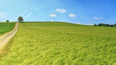 Nine landless beneficiaries to allocate land! | जमीन वाटपासाठी नऊ भूमिहीन लाभार्थींची निवड!  Nine landless beneficiaries to allocate land! | जमीन वाटपासाठी नऊ भूमिहीन लाभार्थींची निवड!