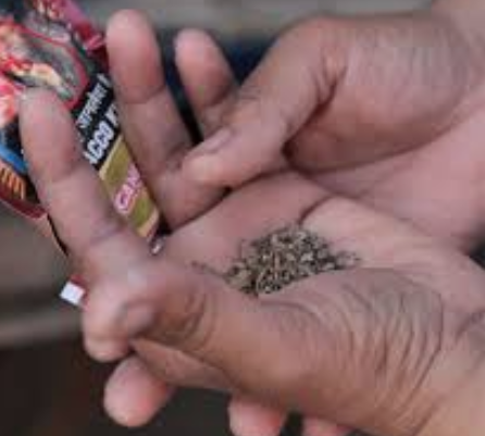 22 persons were beaten by the squad under the Tobacco Control Act in Ushat | औशात तंबाखू नियंत्रण कायद्यानुसार २२ जणांना पथकाचा दणका 22 persons were beaten by the squad under the Tobacco Control Act in Ushat | औशात तंबाखू नियंत्रण कायद्यानुसार २२ जणांना पथकाचा दणका