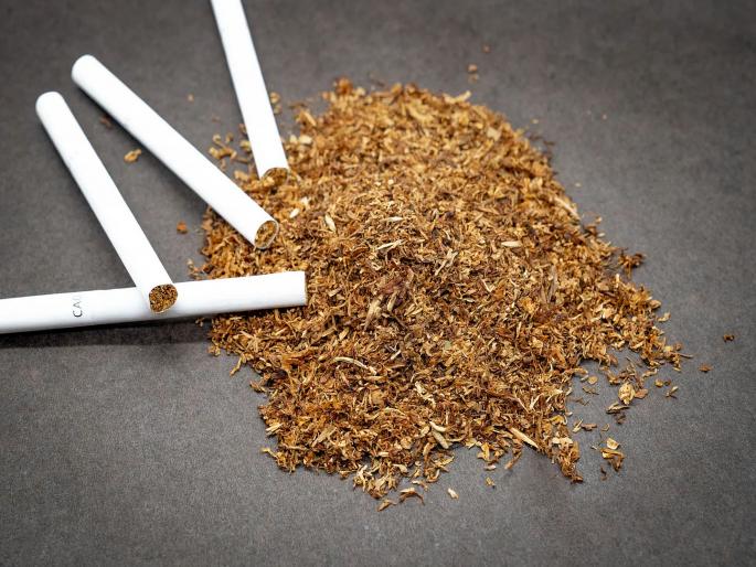 Tobacco and marijuana addiction are becoming deadly; 40 percent increase in deaths due to heart diseases | तंबाखूची तंद्री अन् गांजाची तलब ठरतेय घातक; हृदयरोगांमुळे होणाऱ्या मृत्यूंमध्ये ४० टक्के वाढ Tobacco and marijuana addiction are becoming deadly; 40 percent increase in deaths due to heart diseases | तंबाखूची तंद्री अन् गांजाची तलब ठरतेय घातक; हृदयरोगांमुळे होणाऱ्या मृत्यूंमध्ये ४० टक्के वाढ