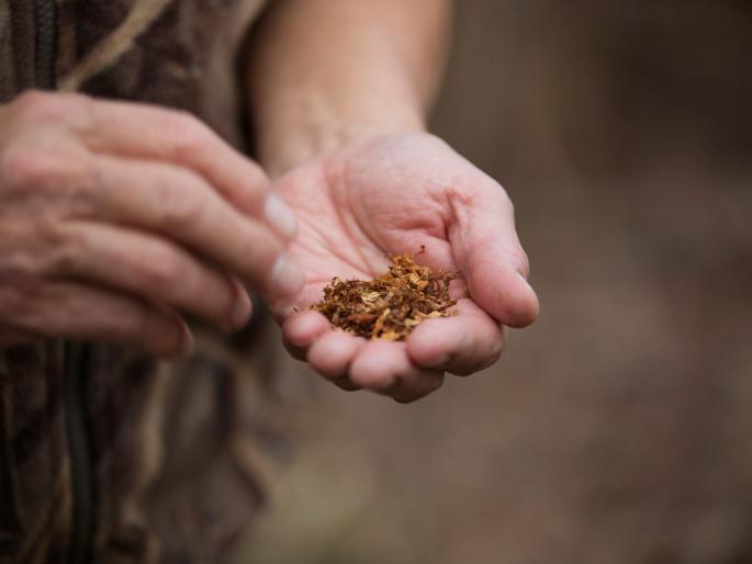 Regular use of tobacco in government offices | शासकीय कार्यालयांमध्ये सर्रास तंबाखूचे सेवन Regular use of tobacco in government offices | शासकीय कार्यालयांमध्ये सर्रास तंबाखूचे सेवन