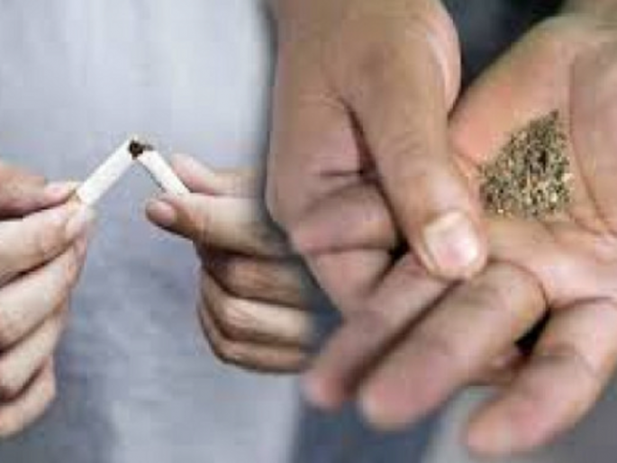 Tobacco, eating gutkha? Then prepare to cut the cheeks, 2 mouth cancer surgeries every day | तंबाखू, गुटखा खाताय? मग गाल कापण्याची ठेवा तयारी, रुग्णांमध्ये तरुणांचे प्रमाण अधिक Tobacco, eating gutkha? Then prepare to cut the cheeks, 2 mouth cancer surgeries every day | तंबाखू, गुटखा खाताय? मग गाल कापण्याची ठेवा तयारी, रुग्णांमध्ये तरुणांचे प्रमाण अधिक