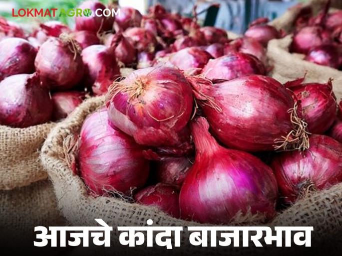 The highest onion arrival in the state today is from Nashik; Read today's onion market price | राज्यात आज सर्वाधिक नाशिक मधून कांद्याची आवक बाजारात; वाचा आजचे कांदा बाजारभाव