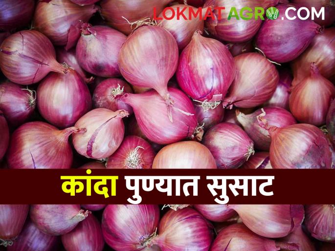 Onion Market Highest onion arrival in Pune today in the state; Read what you got | Onion Market राज्यात आज पुणे येथे सर्वाधिक कांदा आवक; वाचा काय मिळाला दर Onion Market Highest onion arrival in Pune today in the state; Read what you got | Onion Market राज्यात आज पुणे येथे सर्वाधिक कांदा आवक; वाचा काय मिळाला दर
