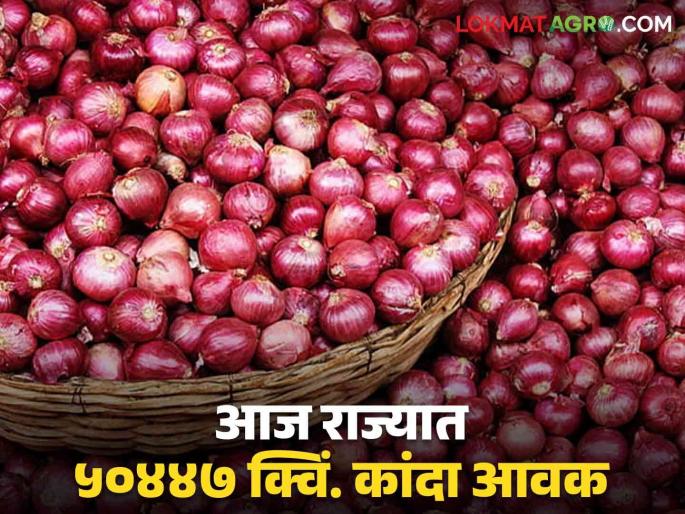 Onion Market Rate: Highest onion arrival in market in Nashik district; Read what rates are available | Onion Market Rate : नाशिक जिल्ह्यातून बाजारात सर्वाधिक कांदा आवक; वाचा काय मिळतोय दर Onion Market Rate: Highest onion arrival in market in Nashik district; Read what rates are available | Onion Market Rate : नाशिक जिल्ह्यातून बाजारात सर्वाधिक कांदा आवक; वाचा काय मिळतोय दर