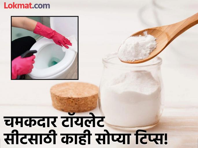 How to Clean a Toilet the Right Way in 4 Steps | अनेकदा स्वच्छ करूनही टॉयलेट सीटवरील पिवळे डाग जात नाहीत? लगेच करा 'हे' सोपे उपाय! How to Clean a Toilet the Right Way in 4 Steps | अनेकदा स्वच्छ करूनही टॉयलेट सीटवरील पिवळे डाग जात नाहीत? लगेच करा 'हे' सोपे उपाय!