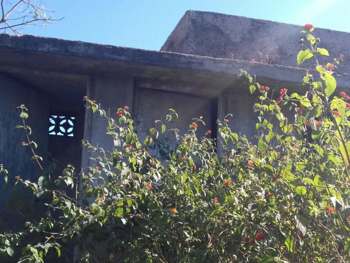 Toilets in Nashik hide behind trees | नाशिकला शौचालय लपले झाडाझुडपात Toilets in Nashik hide behind trees | नाशिकला शौचालय लपले झाडाझुडपात