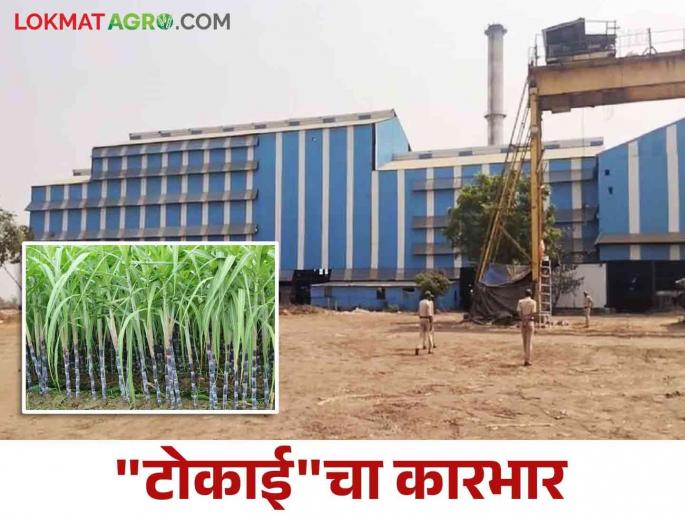 'Tokai' collaboration is not an agreement in principle; So, how is governance from Parbhani?   | 'टोकाई' सहयोग तत्त्वाचा करार नाही; मग, परभणीहून कारभार कसा ?   'Tokai' collaboration is not an agreement in principle; So, how is governance from Parbhani?   | 'टोकाई' सहयोग तत्त्वाचा करार नाही; मग, परभणीहून कारभार कसा ?