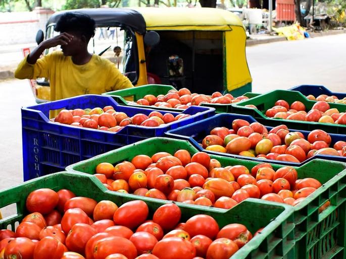 Tomato likely to cross 200 again; What are the current rates in Mumbai, across the country... | टोमॅटो पुन्हा २०० पार जाण्याची शक्यता; मुंबई, देशभरातील आत्ताचे दर काय... Tomato likely to cross 200 again; What are the current rates in Mumbai, across the country... | टोमॅटो पुन्हा २०० पार जाण्याची शक्यता; मुंबई, देशभरातील आत्ताचे दर काय...