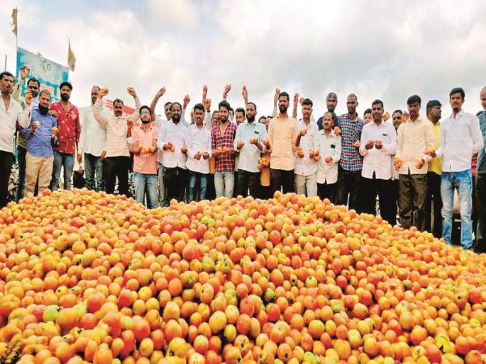 Red mud again; Farmers' agitation by throwing tomatoes on the road due to falling prices | पुन्हा लाल चिखल; भाव गडगडल्याने टोमॅटो रस्त्यावर फेकून शेतकऱ्यांचे आंदोलन Red mud again; Farmers' agitation by throwing tomatoes on the road due to falling prices | पुन्हा लाल चिखल; भाव गडगडल्याने टोमॅटो रस्त्यावर फेकून शेतकऱ्यांचे आंदोलन