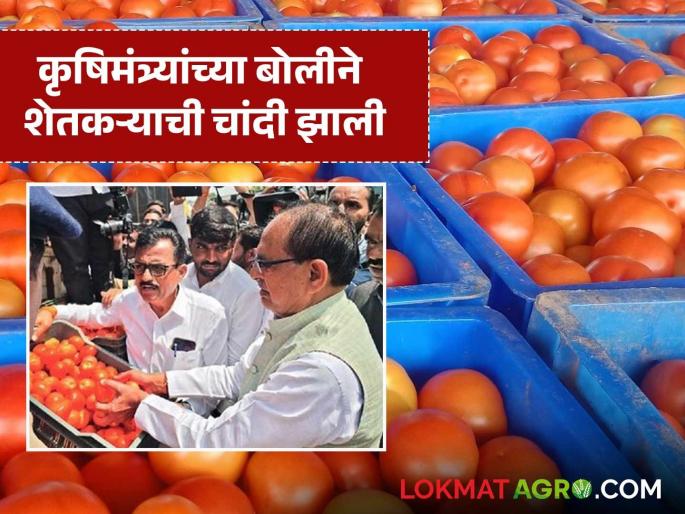 The Union Agriculture Minister auctioned tomatoes at Narayangaon market; How did he get the price? | नारायणगाव बाजारात चक्क केंद्रीय कृषिमंत्र्यांनी केला टोमॅटोचा लिलाव; कसा मिळाला भाव? The Union Agriculture Minister auctioned tomatoes at Narayangaon market; How did he get the price? | नारायणगाव बाजारात चक्क केंद्रीय कृषिमंत्र्यांनी केला टोमॅटोचा लिलाव; कसा मिळाला भाव?