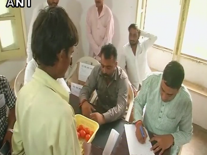 Now make tomatoes deposit in a bank | आता टोमॅटो करा बँकेत डिपॉझिट