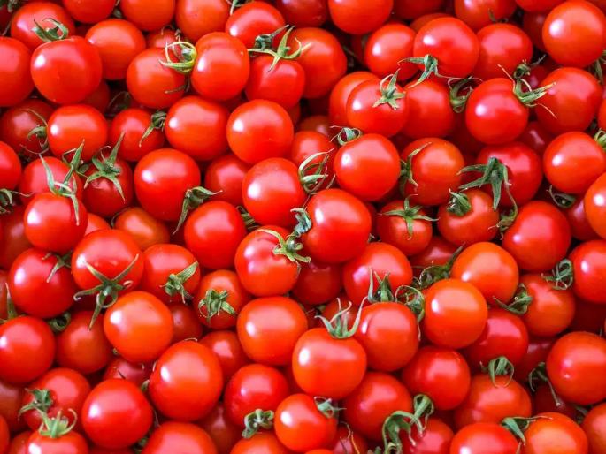 truck loaded with tomatoes worth 20 lakhs mysteriously missing traders lodged fir | २० लाखांच्या टोमॅटोने भरलेला ट्रक बेपत्ता! व्यापाऱ्यांनी केली तक्रार; नेमकं प्रकरण काय? truck loaded with tomatoes worth 20 lakhs mysteriously missing traders lodged fir | २० लाखांच्या टोमॅटोने भरलेला ट्रक बेपत्ता! व्यापाऱ्यांनी केली तक्रार; नेमकं प्रकरण काय?