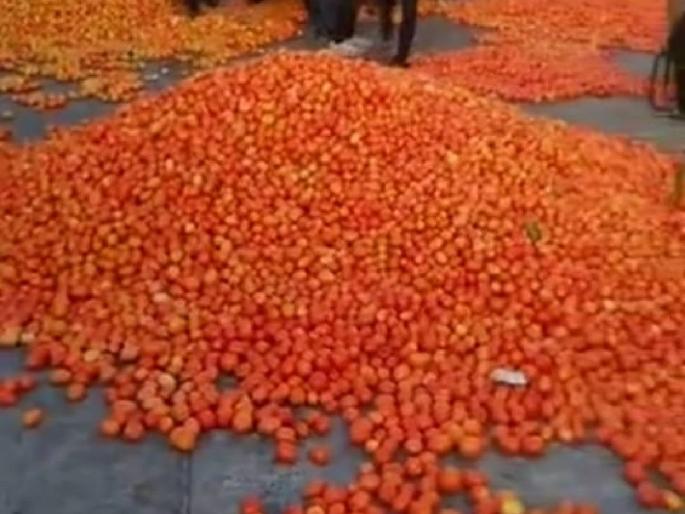 Tomato Matimol in Nashik, the market committee threw out the goods | नाशिक मध्ये टोमॅटो मातीमोल, बाजार समिती बाहेर फेकला माल Tomato Matimol in Nashik, the market committee threw out the goods | नाशिक मध्ये टोमॅटो मातीमोल, बाजार समिती बाहेर फेकला माल