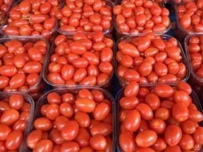 Government will buy onions and tomatoes at high price and sell them at half price | सरकार स्वस्तात विकणार कांदे, टोमॅटो!; चढ्या भावाने खरेदी करून अर्ध्या किमतीत देणार Government will buy onions and tomatoes at high price and sell them at half price | सरकार स्वस्तात विकणार कांदे, टोमॅटो!; चढ्या भावाने खरेदी करून अर्ध्या किमतीत देणार