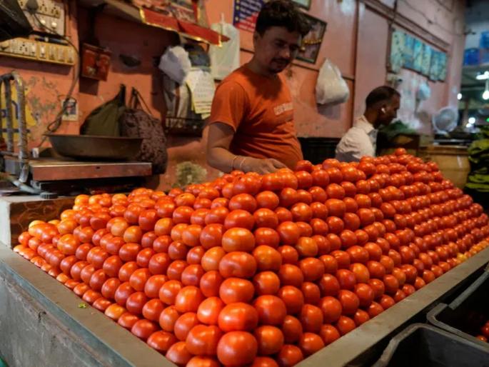 200 per tomato in the retail market; The brightness increased | टोमॅटोचा किरकोळ बाजारात दर २०० वर; चमक आणखी वाढली 200 per tomato in the retail market; The brightness increased | टोमॅटोचा किरकोळ बाजारात दर २०० वर; चमक आणखी वाढली