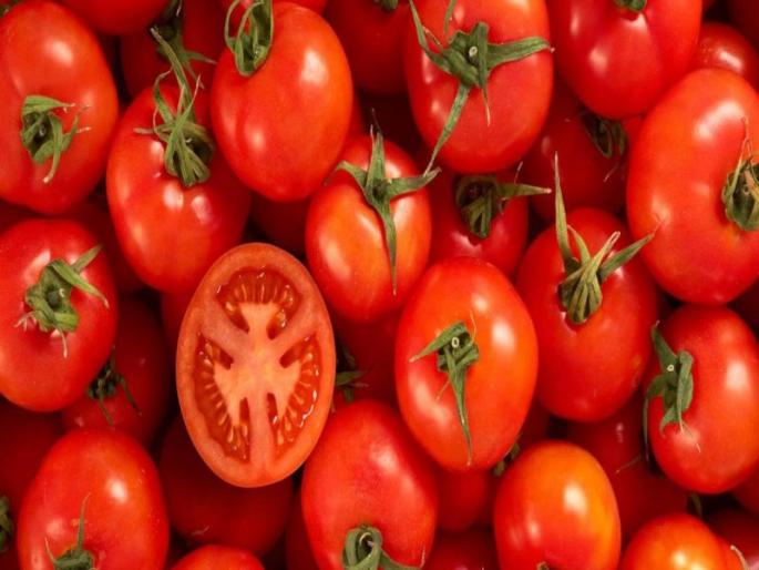 tomato price hike earlier onion now theft took away 25 kg tomator from sabhji mandi | चोरांचा कारनामा! 7 क्विंटल कांद्यानंतर आता 25 किलो टोमॅटोंवर मारला डल्ला; व्यापारी म्हणतात...