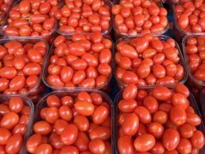 Tomato 2 kg kg | टमाटा २ रूपये किलो