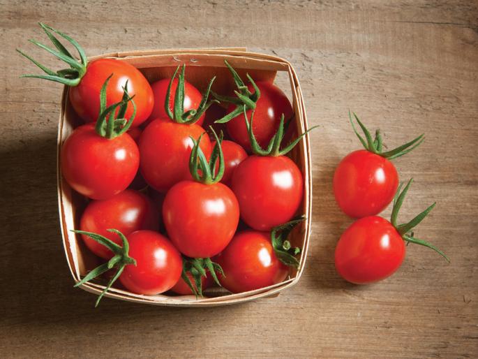 side effects of eating too many tomatoes in one day | जास्त टोमॅटो खाणं पडू शकतं महागात; किडनी स्टोनसह 'या' समस्यांचा धोका side effects of eating too many tomatoes in one day | जास्त टोमॅटो खाणं पडू शकतं महागात; किडनी स्टोनसह 'या' समस्यांचा धोका