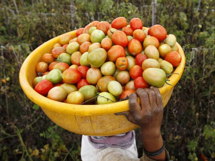 Harmful to swallow grass | ...अन् मला घास गिळताना लाज वाटली! Harmful to swallow grass | ...अन् मला घास गिळताना लाज वाटली!