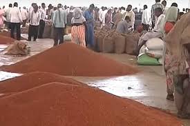 There is no planning to start pulces purchase Centers | हंगाम तोंडावर: हमीभावाने तूर खरेदी केंद्र सुरू करण्याबाबत नियोजन नाही There is no planning to start pulces purchase Centers | हंगाम तोंडावर: हमीभावाने तूर खरेदी केंद्र सुरू करण्याबाबत नियोजन नाही