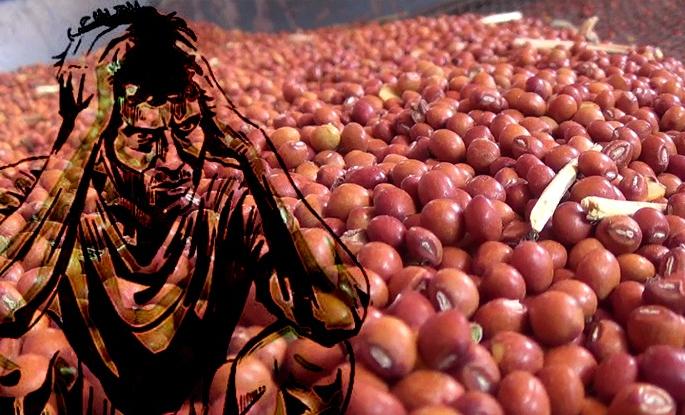 Challenge to count 31 thousand farmers' tur in two days in Washim district | वाशिम जिल्ह्यात दोन दिवसांत ३१ हजार शेतकऱ्यांची तूर मोजण्याचे आव्हान