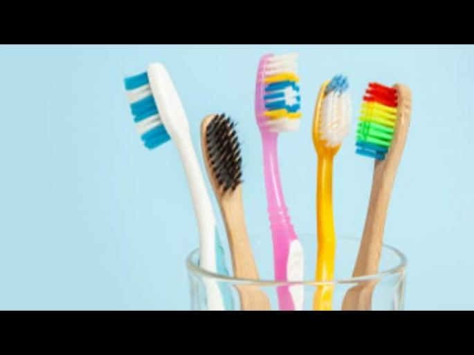Health Tips : Do not keep all toothbrushes together know the reason | घरात सगळ्यांचे टूथब्रश एकाच पॉटमध्ये ठेवता का? मग हे वाचाच... Health Tips : Do not keep all toothbrushes together know the reason | घरात सगळ्यांचे टूथब्रश एकाच पॉटमध्ये ठेवता का? मग हे वाचाच...