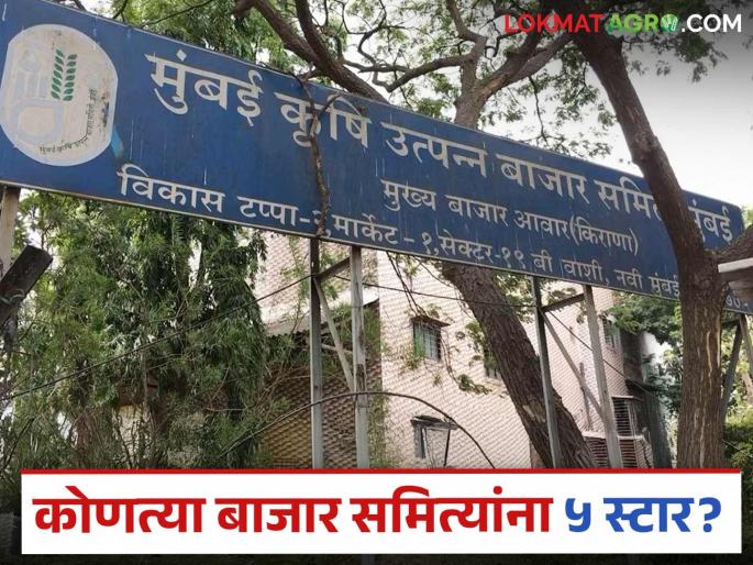 What are the top 5 agricultural produce market committees in Maharashtra? Who got how many stars? Read in detail | महाराष्ट्रातील टॉप ५ कृषी उत्पन्न बाजार समित्या कोणत्या? कुणाला मिळाले किती स्टार? वाचा सविस्तर What are the top 5 agricultural produce market committees in Maharashtra? Who got how many stars? Read in detail | महाराष्ट्रातील टॉप ५ कृषी उत्पन्न बाजार समित्या कोणत्या? कुणाला मिळाले किती स्टार? वाचा सविस्तर