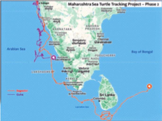 Bagesri's sojourn in the Bay of Bengal; Sighting of a cave turtle in the sea of Kerala | बागेश्रीचा मुक्काम बंगालच्या उपसागरात; गुहा कासव पाेहाेचले केरळच्या समुद्रात Bagesri's sojourn in the Bay of Bengal; Sighting of a cave turtle in the sea of Kerala | बागेश्रीचा मुक्काम बंगालच्या उपसागरात; गुहा कासव पाेहाेचले केरळच्या समुद्रात
