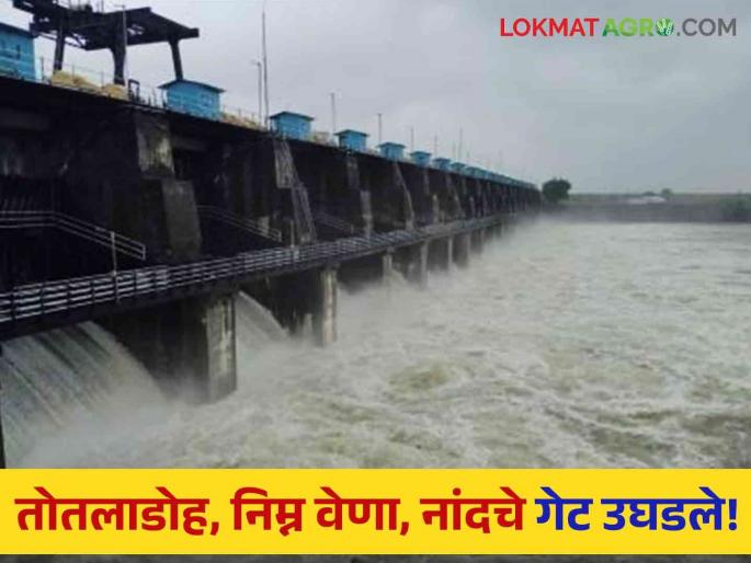 Latest News Water Discharged Totladoh Vena and Nand dam of nagpur district read in detail  | Water Discharged : तोतलाडोहचे 14, निम्न वेणाचे 21 तर नांदचे 7 गेट उघडले, वाचा सविस्तर 