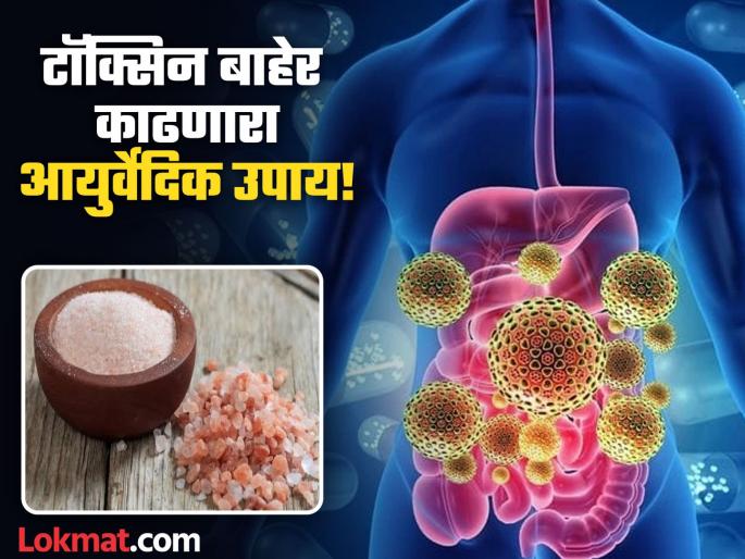 Ayurveda doctor tells these foods to clean body from inside and remove-toxins | प्रत्येक पदार्थातून पोटात जातं टॉक्सिन नावाचं विष, बचावासाठी डॉक्टरांनी सांगितला उपाय! Ayurveda doctor tells these foods to clean body from inside and remove-toxins | प्रत्येक पदार्थातून पोटात जातं टॉक्सिन नावाचं विष, बचावासाठी डॉक्टरांनी सांगितला उपाय!