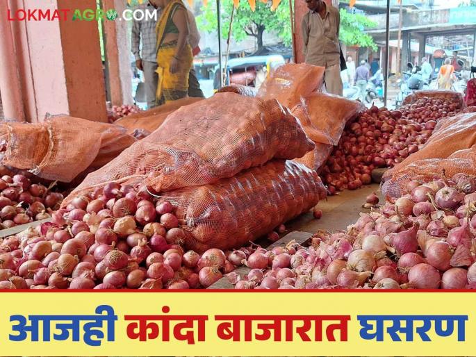 Latest News Kanda Market Update Onion market prices continue to fall see solapur and lasalgaon kanda market | Kanda Market Update : राज्यात कांदा बाजारभावात घसरण सुरूच, वाचा आजचे बाजारभाव Latest News Kanda Market Update Onion market prices continue to fall see solapur and lasalgaon kanda market | Kanda Market Update : राज्यात कांदा बाजारभावात घसरण सुरूच, वाचा आजचे बाजारभाव