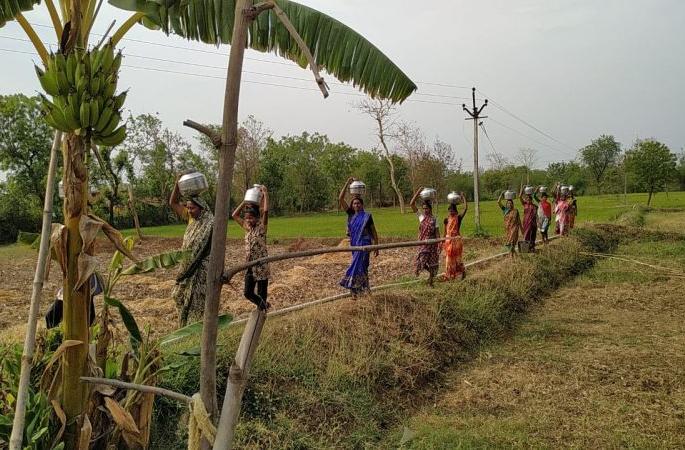 Decrease in ground water in 49 talukas of western Vidarbha | पश्चिम विदर्भात ४९ तालुक्यांतील भूजलात घट