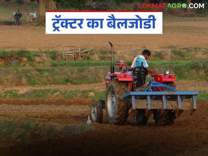 Why a tractor and a pair of bullock, what can you afford to maintain? What do farmers say? Find out in detail | ट्रॅक्टर का बैलजोडी, काय संभाळणं परवडतय? काय म्हणतायत शेतकरी? जाणून घ्या सविस्तर